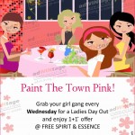 Park Plaza Zirakpur- Ladies Wednesday
