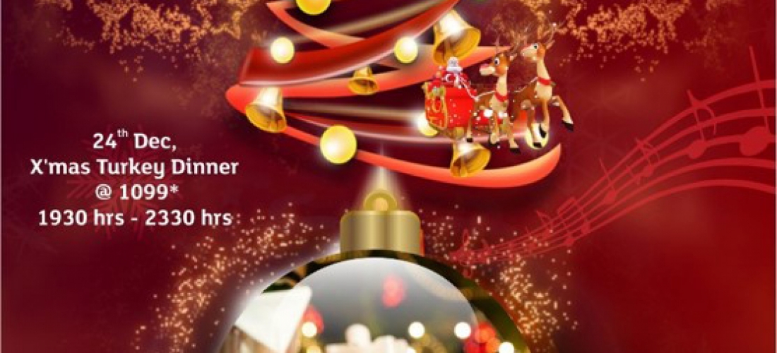 Park Plaza Faridabad – Christmas Celebration Promotion